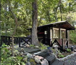 a small cabin in the woods with a tree at Foresta Karuizawa 6 "Glamping & Tent" for 8 people in Karuizawa