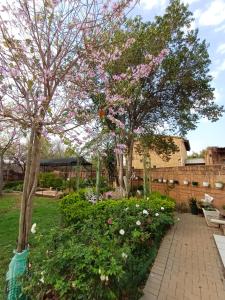 Κήπος έξω από το Bufflesdrift Bush and Birding