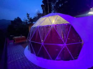 a purple object is lit up at night at Kodai paradise in Dindigul