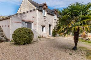 an old house with a palm tree in front of it at Le Petit Montparnasse - Montrichard in Montrichard