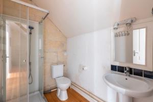 a bathroom with a toilet and a sink and a shower at Le Petit Montparnasse - Montrichard in Montrichard +21 photos