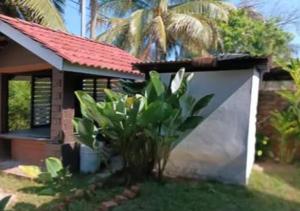 a small house with a plant in front of it at Villa Ilham in Langkawi Intl