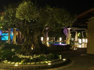 a tree in a garden with lights around it at Villa Masseria Marini in San Giuseppe Vesuviano