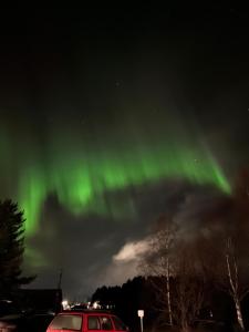 Naturlandskabet i nærheden af lejligheden