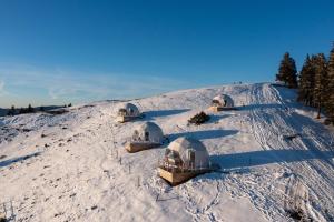 Gallery image of Stargazing Glamping Domes Golte in Mozirje