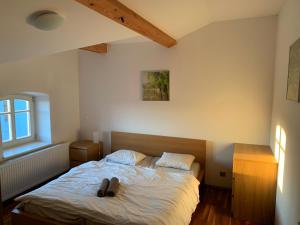 - une chambre dotée d'un lit avec une paire de chaussures dans l'établissement Lisovna-prázdninový dům s vinným sklepem, à Golčŭv Jeníkov