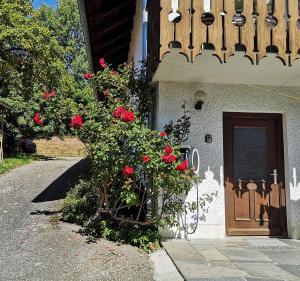 a bush of red roses in front of a building at Appartement Panoramablick in Grattersdorf