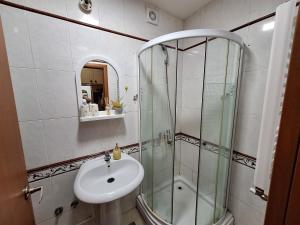 une salle de bain avec une douche en verre et un lavabo dans l'établissement Luka Lux, à Niš 30 autres photos