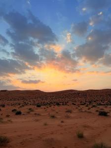 a sunset in the desert with a field with bushes at Night Stars Camp in Bidiyah +17 photos