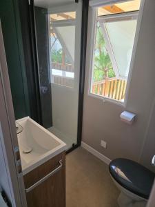 a bathroom with a sink and a toilet and a window at amorosa mobil home in Canet-en-Roussillon