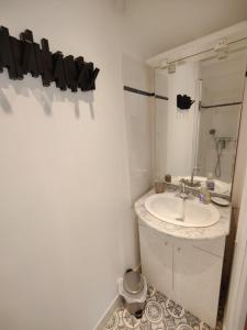 a bathroom with a sink and a mirror at La Sellerie et Le Relais des Hortensias in Graincourt