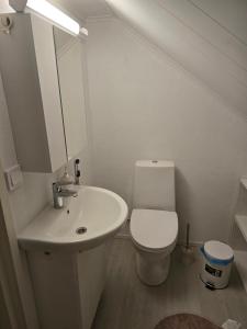 a white bathroom with a toilet and a sink at Grete's House in Eurajoki +13 photos