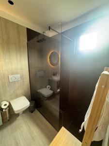 LespeziにあるCuracao SPAのトイレとガラスのシャワー付きのバスルーム
