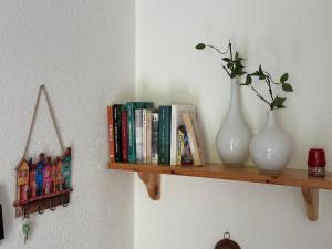 Knihovna v apartmánu