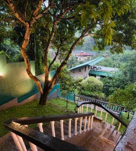 Příroda nedaleko penzionu + 37 fotografií