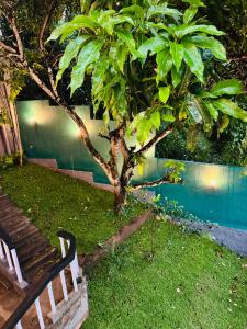 un banco sentado junto a un árbol junto a una valla en Kandy Villa 119, en Kandy