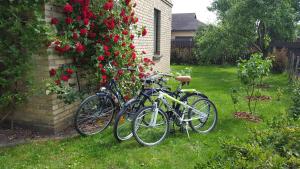 two bikes parked next to a wall with roses at Guest House Maija in Ventspils