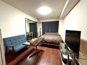 TV a/nebo společenská místnost v ubytování KIYAZA Louvre Sapporo