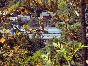 Příroda nedaleko apartmánu + 6 fotografií