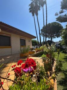a garden with red flowers on a patio at Casa Parra in Deltebre +39 photos