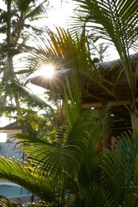 a palm tree with the sun shining through it at 7BD Surf House in Ahangama