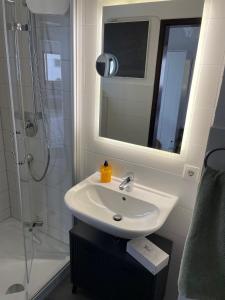 a bathroom with a sink and a shower and a mirror at Ruhiges Apartment in Weissach - Nähe Porsche in Weissach