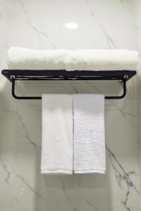 にあるSwiss-Belexpress Paluのバスルームのタオル掛けにタオル2枚