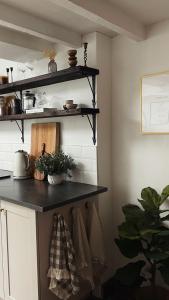 een keukenblad met zwarte planken en een plant bij Poets Cottage Eglwys Fach in Eglwys-fach