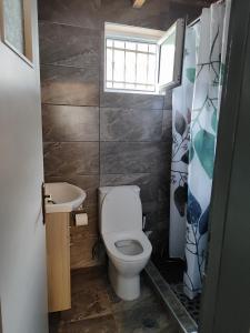 a bathroom with a toilet and a sink and a window at Tommy's Guest House in Konitsa +23 photos