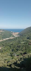 an aerial view of a field of trees and the ocean at Ca du Len Gorra - MTB's Friendly in Finale Ligure