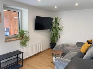 a living room with a couch and a tv at FamilienAppartement Waldstüberl in Kleinarl