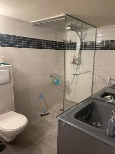 Un baño con ducha, inodoro y lavabo. en Villa du sud avec piscine et jardin, en Saint-Christol-lès-Alès