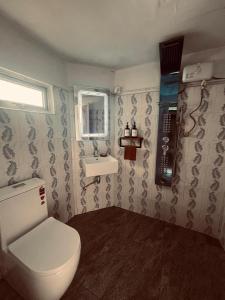 a bathroom with a toilet and a sink at Crystal villa- Bathigama in Matara