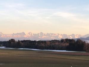 Příroda nedaleko apartmánu