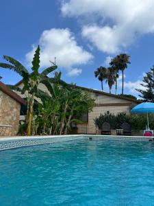 a swimming pool in front of a house with palm trees at Casa Parra in Deltebre