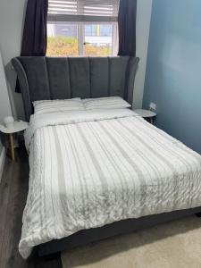 Fotografie z fotogalerie ubytování Happy Place v destinaci Navan