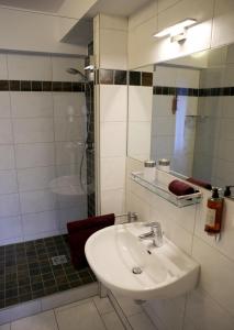 フレッヒェンにあるHotel Rothkampのバスルーム(シンク、シャワー、鏡付)