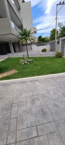 a palm tree in a yard next to a building at Eleusis Luxury Flat,car park in property in Elefsina