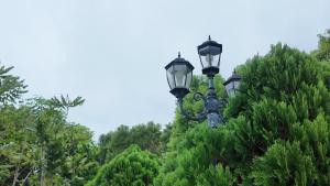 a street light with trees in the background at 樹海翠湖 in T'ung-ko