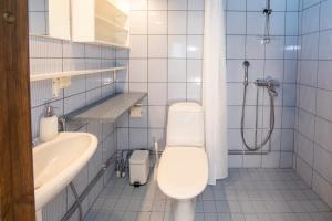 a bathroom with a toilet and a sink and a shower at Ski Center Alpine Houses B4 in Kittilä +20 photos