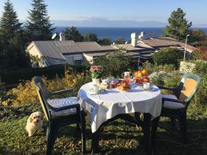 a table with a bowl of fruit on it with a dog at Casa 33 in Njivice