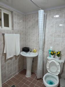 ソウルにあるDaechi Sky Gangnam#COEX#Concert KSPO#강남세브란스병원#대치동학원가のトイレと洗面台付きのバスルーム