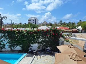 a hedge with red flowers next to a swimming pool at Nyumba Maua B&B in Watamu