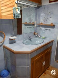 a bathroom with a sink and a mirror at Gîte de Myriam aux portes des Gorges du Tarn in Rivière-sur-Tarn
