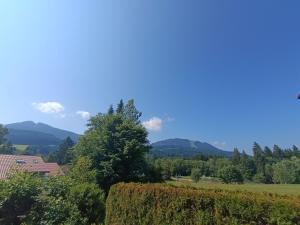 Naturlandskabet i nærheden af feriehuset