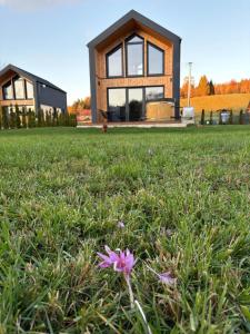 a flower in the grass in front of a house at Bieszczadzki Relaks - domki z prywatną strefą SPA in Uherce Mineralne