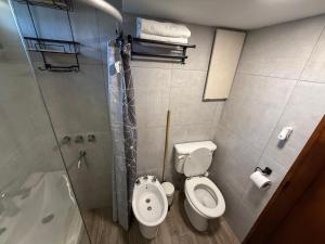 a small bathroom with a toilet and a shower at Cabañas boutique Huella Andina in Potrerillos +11 photos