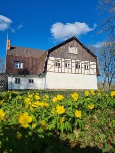 a house on a hill with yellow flowers at Baltakmeņu muiža in Mujani