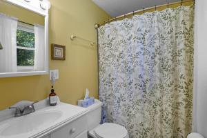een badkamer met een douchegordijn en een toilet bij Pennington Place Lookout Mtn in Rising Fawn +59 foto's