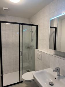 Studiowohnung und Zimmer, Basel-Stadt, Cozy studio with private terrace and direct access, close to Basel city center في بازل: حمام مع دش ومرحاض ومغسلة